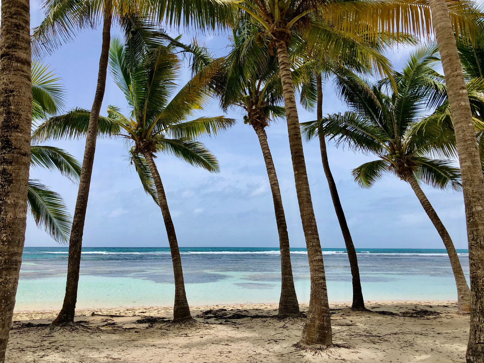 Family beach vacation